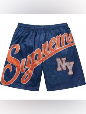 Supreme Big Script Mesh Shorts